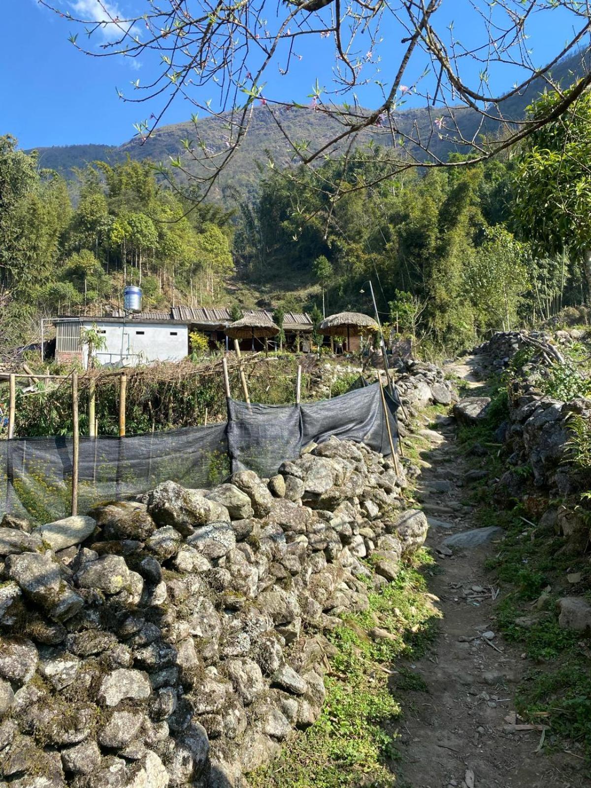 Sue Pa Family Trekking Homestay 萨帕 外观 照片