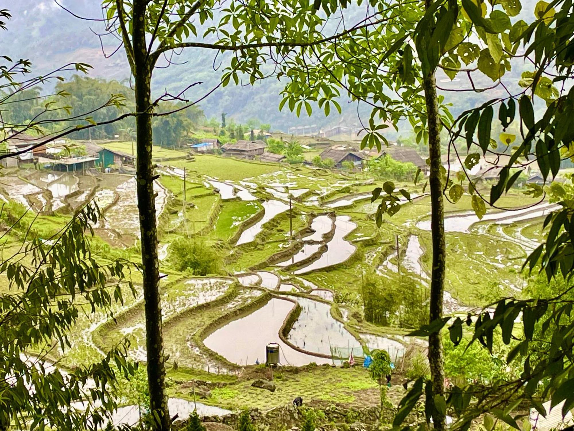 Sue Pa Family Trekking Homestay 萨帕 外观 照片