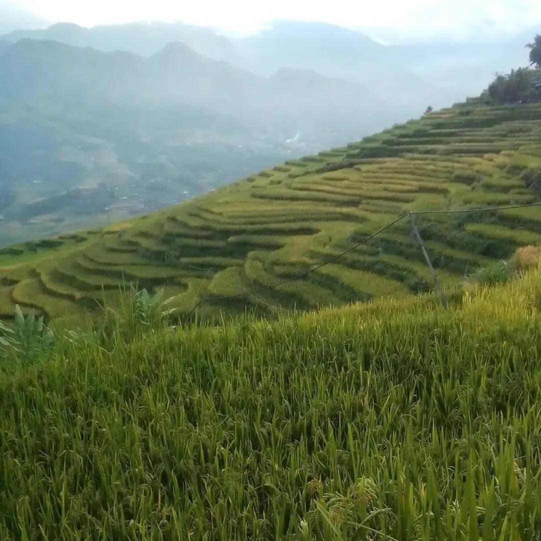 Sue Pa Family Trekking Homestay 萨帕 外观 照片