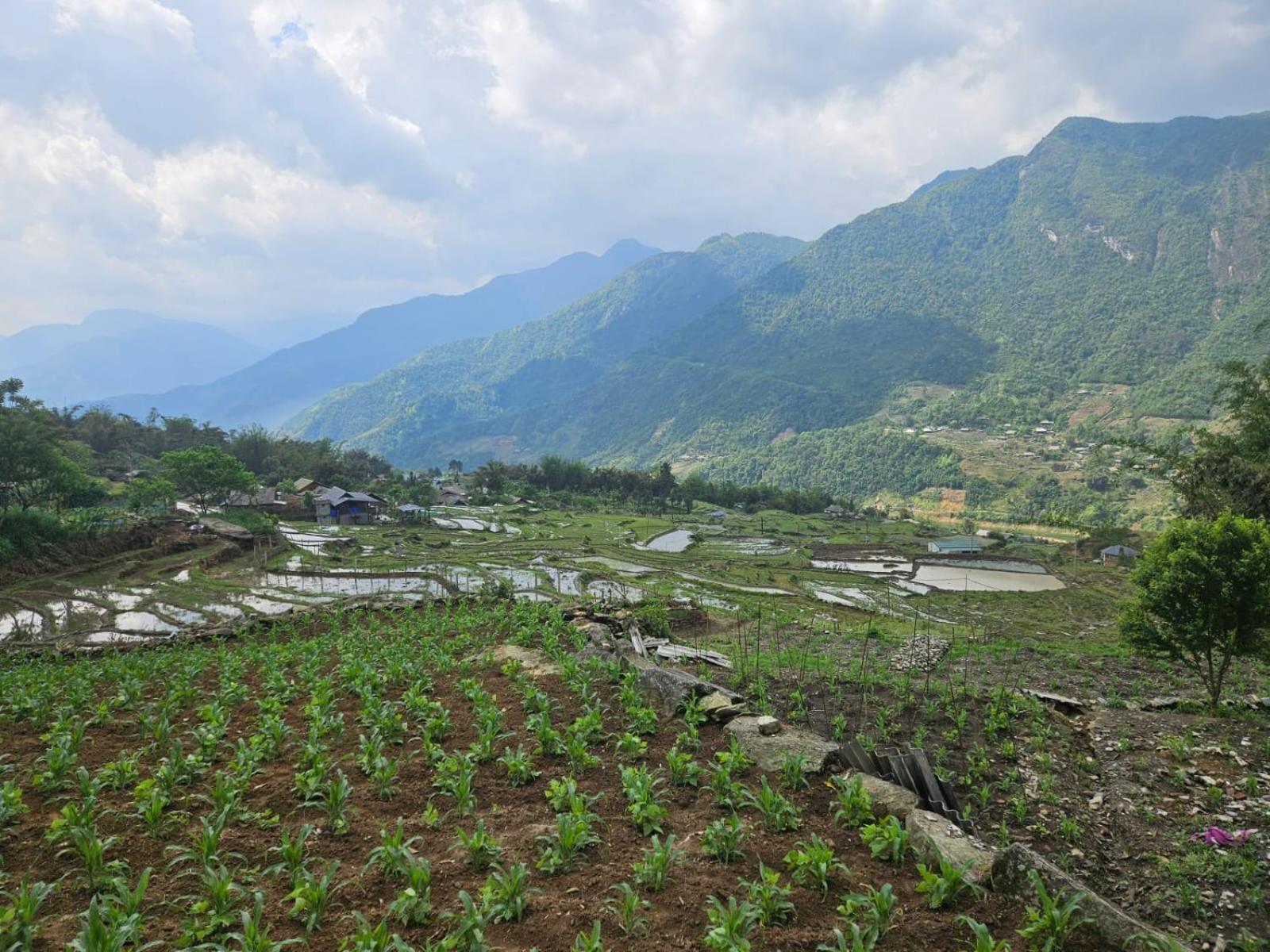 Sue Pa Family Trekking Homestay 萨帕 外观 照片
